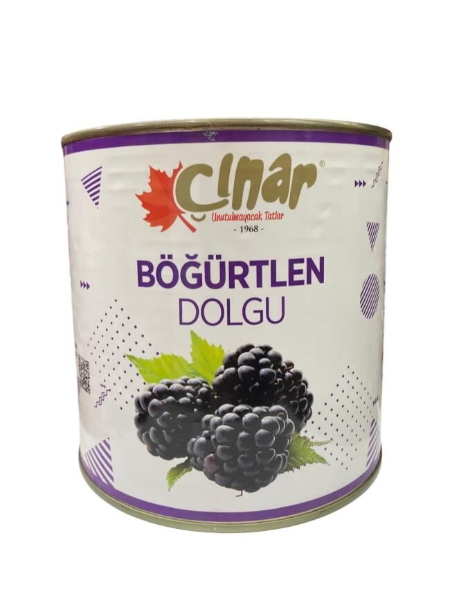 ÇINAR BÖĞÜRTLEN DOLGU 2700 G
