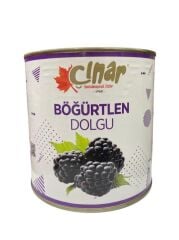 ÇINAR BÖĞÜRTLEN DOLGU 2700 G