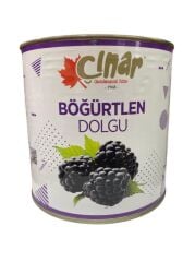 ÇINAR BÖĞÜRTLEN DOLGU 2700 G